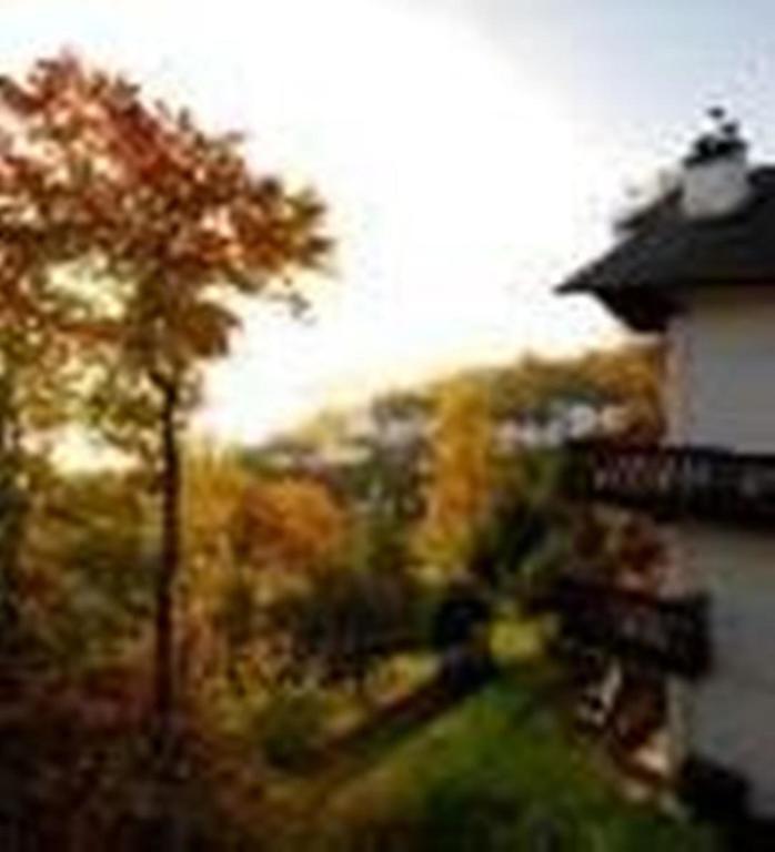 Hotel Du Lac Mont-Tremblant Oda fotoğraf